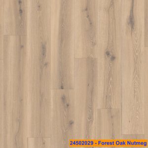 24502029 - Forest Oak Nutmeg
