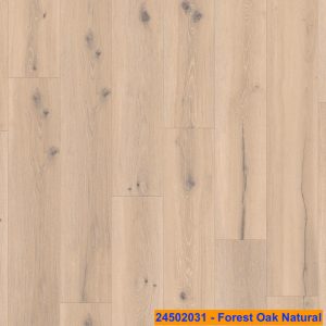 24502031 - Forest Oak Natural