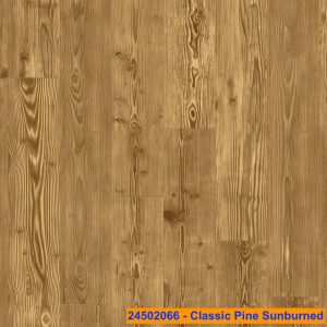 24502066 - Classic Pine Sunburned