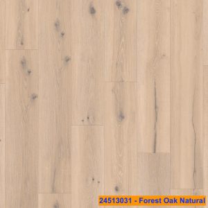 24513031 - Forest Oak Natural