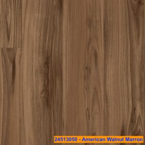 24513050 - American Walnut Marron